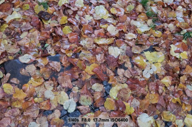 Testfoto Canon Powershot G7 X (Bild: Andreas Donath)